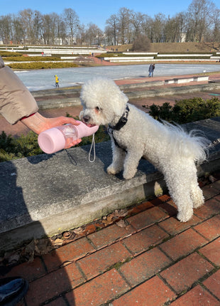 Portable Pet Food & Water Bottle Teal Winterberry