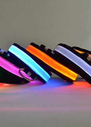LED Light Up Dog Collar Fuchsia Molly