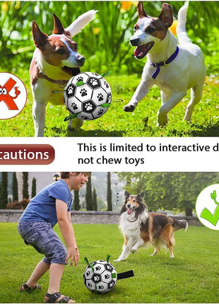 Interactive Dog Football Toy Soccer Ball Inflated Training Toy For Dogs Outdoor Border Collie Balls For Large Dogs Pet Supplies CJ USA