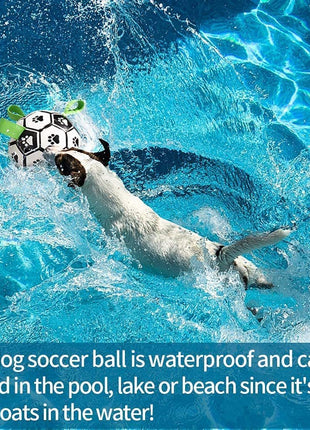 Interactive Dog Football Toy Soccer Ball Inflated Training Toy For Dogs Outdoor Border Collie Balls For Large Dogs Pet Supplies CJ USA
