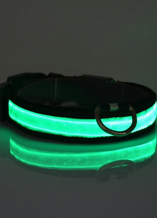 LED Light Up Dog Collar Fuchsia Molly