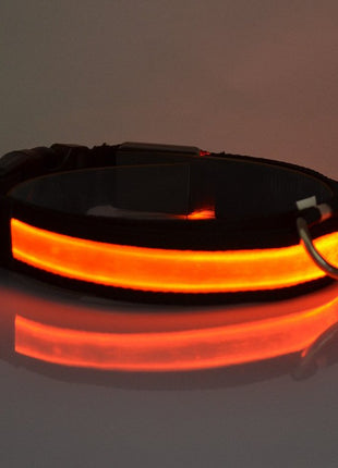 LED Light Up Dog Collar Fuchsia Molly