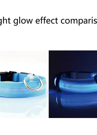 LED Adjustable Dog Collar Blinking Flashing Light Up Glow Pets Safety Puce Gaia