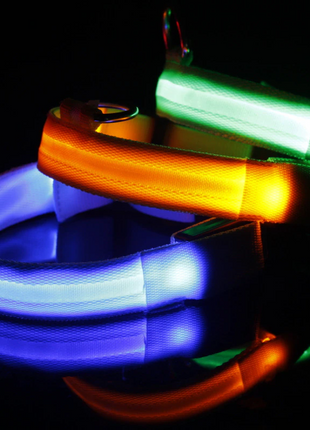 LED Adjustable Dog Collar Blinking Flashing Light Up Glow Pets Safety Puce Gaia