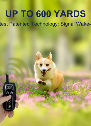 650 YD Remote Dog Training Shock Collar Waterproof for Small Medium Puce Gaia