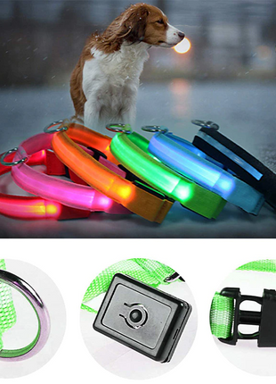 LED Adjustable Dog Collar Blinking Flashing Light Up Glow Pets Safety Puce Gaia