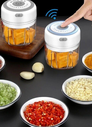 Electric 300ML Garlic Press Chopper Chili Onion Fruits Meat Mincer Puce Gaia