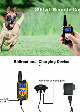 2700 FT Remote Dog Shock Training Collar Rechargeable Waterproof LCD Puce Gaia