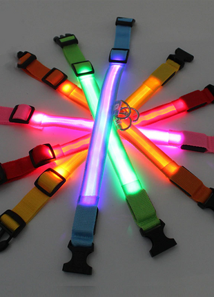 LED Adjustable Dog Collar Blinking Flashing Light Up Glow Pets Safety Puce Gaia