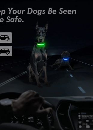 LED Adjustable Dog Collar Blinking Flashing Light Up Glow Pets Safety Puce Gaia