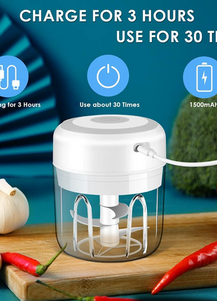 Electric 300ML Garlic Press Chopper Chili Onion Fruits Meat Mincer Puce Gaia