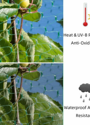 33FT Anti Bird Netting Pond Net Protection Tree Crops Plants Fruits Puce Gaia