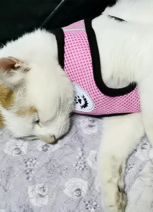Cat Dog Pet Harness Adjustable Control Vest Dogs Reflective S M L XL Puce Gaia