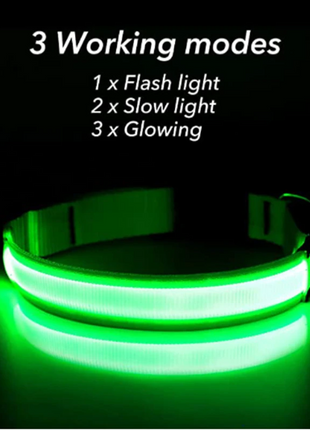 LED Adjustable Dog Collar Blinking Flashing Light Up Glow Pets Safety Puce Gaia