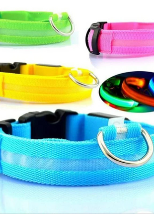 LED Adjustable Dog Collar Blinking Flashing Light Up Glow Pets Safety Puce Gaia