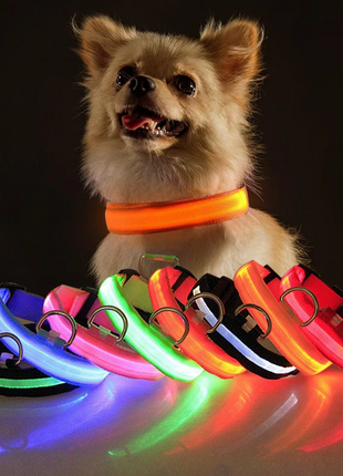 LED Adjustable Dog Collar Blinking Flashing Light Up Glow Pets Safety Puce Gaia