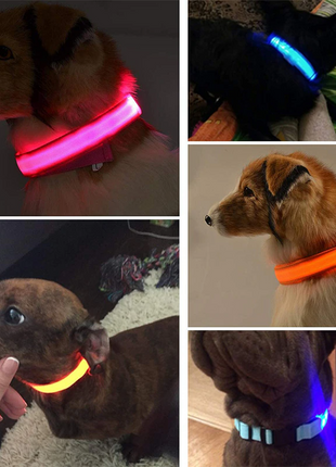 LED Adjustable Dog Collar Blinking Flashing Light Up Glow Pets Safety Puce Gaia