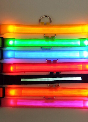 LED Adjustable Dog Collar Blinking Flashing Light Up Glow Pets Safety Puce Gaia