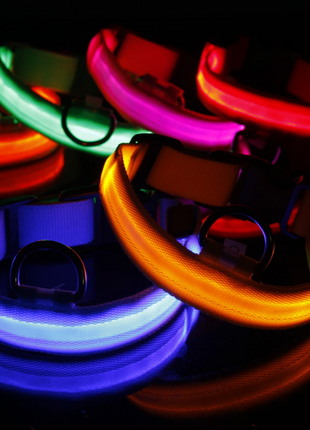 LED Adjustable Dog Collar Blinking Flashing Light Up Glow Pets Safety Puce Gaia