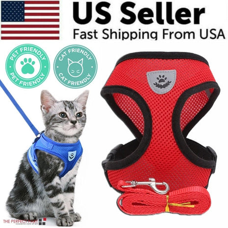 Cat Dog Pet Harness Adjustable Control Vest Dogs Reflective S M L XL Puce Gaia