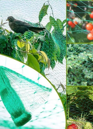 33FT Anti Bird Netting Pond Net Protection Tree Crops Plants Fruits Puce Gaia