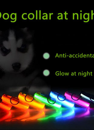 LED Adjustable Dog Collar Blinking Flashing Light Up Glow Pets Safety Puce Gaia