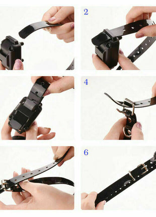 2700 FT Remote Dog Shock Training Collar Rechargeable Waterproof LCD Puce Gaia