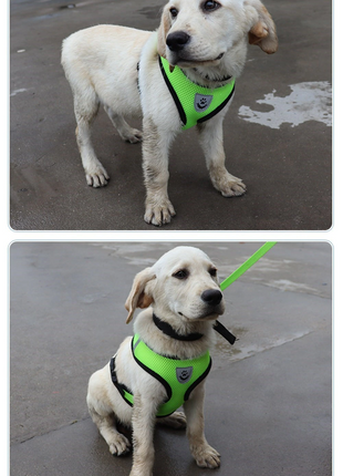 Cat Dog Pet Harness Adjustable Control Vest Dogs Reflective S M L XL Puce Gaia