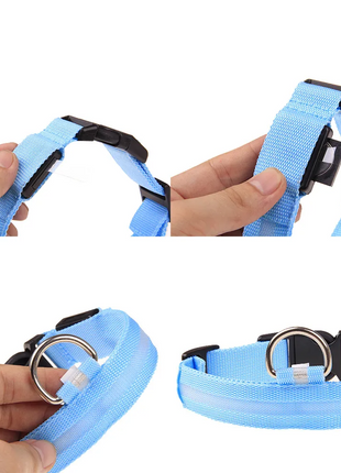 LED Adjustable Dog Collar Blinking Flashing Light Up Glow Pets Safety Puce Gaia