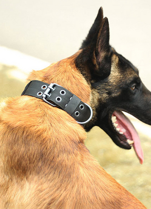 2" Wide Tactical Heavy Duty Nylon Large Dog Collar K9 Military With Puce Gaia