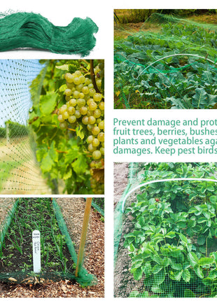 33FT Anti Bird Netting Pond Net Protection Tree Crops Plants Fruits Puce Gaia