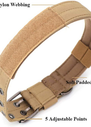 2" Wide Tactical Heavy Duty Nylon Large Dog Collar K9 Military With Puce Gaia