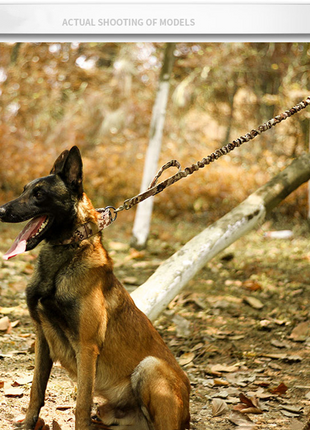 2" Wide Tactical Heavy Duty Nylon Large Dog Collar K9 Military With Puce Gaia