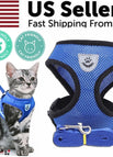 M / Blue