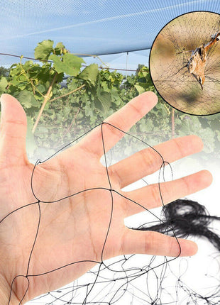 33FT Anti Bird Netting Pond Net Protection Tree Crops Plants Fruits Puce Gaia
