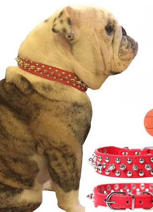 Spiked Studded Leather Dog Collar Rivets Pet Small Large Cat Pit Bull Puce Gaia