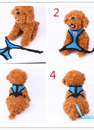 Cat Dog Pet Harness Adjustable Control Vest Dogs Reflective S M L XL Puce Gaia