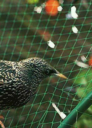 33FT Anti Bird Netting Pond Net Protection Tree Crops Plants Fruits Puce Gaia