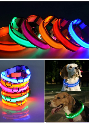 LED Adjustable Dog Collar Blinking Flashing Light Up Glow Pets Safety Puce Gaia