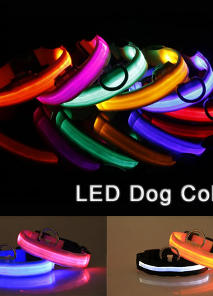 LED Adjustable Dog Collar Blinking Flashing Light Up Glow Pets Safety Puce Gaia