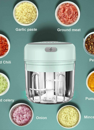 Electric 300ML Garlic Press Chopper Chili Onion Fruits Meat Mincer Puce Gaia