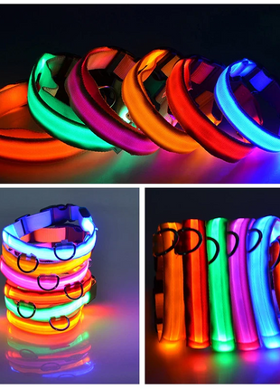 LED Adjustable Dog Collar Blinking Flashing Light Up Glow Pets Safety Puce Gaia