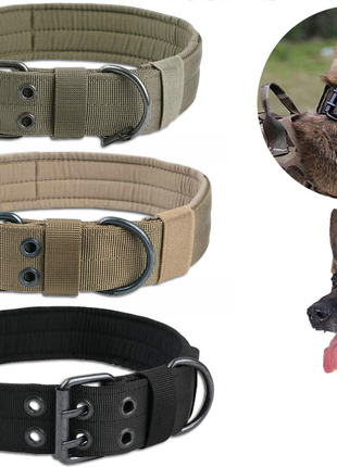 2" Wide Tactical Heavy Duty Nylon Large Dog Collar K9 Military With Puce Gaia