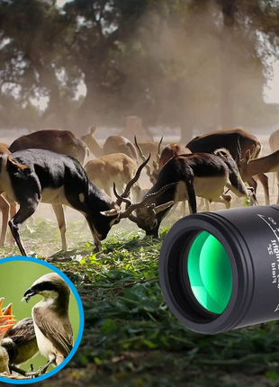 40X60 Monocular Binoculars With Night Vision BAK4 Prism High Power Puce Gaia