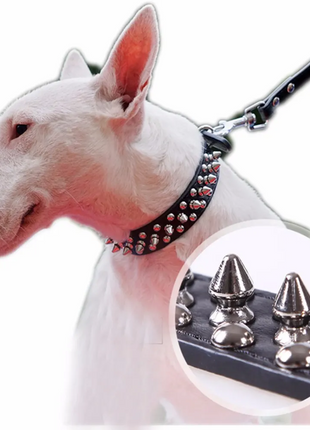 Spiked Studded Leather Dog Collar Rivets Pet Small Large Cat Pit Bull Puce Gaia