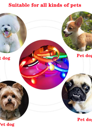 LED Adjustable Dog Collar Blinking Flashing Light Up Glow Pets Safety Puce Gaia