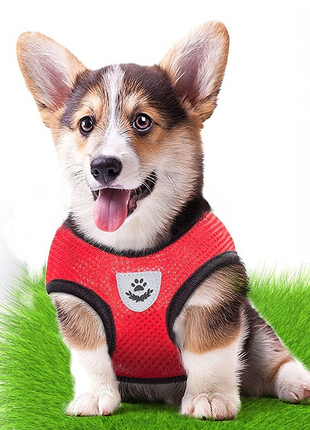 Cat Dog Pet Harness Adjustable Control Vest Dogs Reflective S M L XL Puce Gaia