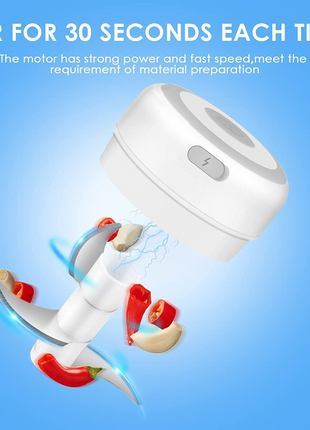 Electric 300ML Garlic Press Chopper Chili Onion Fruits Meat Mincer Puce Gaia