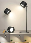 Black / Double Head Lamp / RGBCW