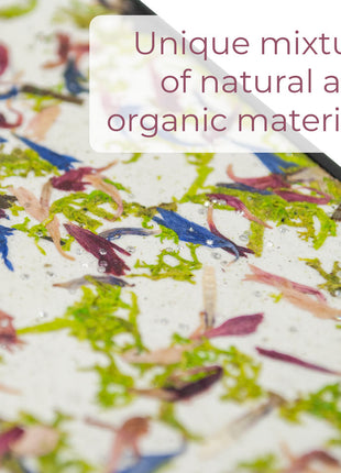 Organic Case - Crystal Meadow SPOCKET EUUK